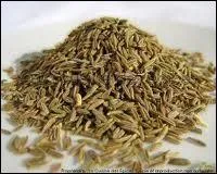 Le cumin appartient  la mme famille que le persil, laquelle ?