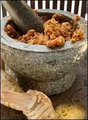 Quelle partie de la plante du galanga ou gingembre tha est utilise en cuisine ?