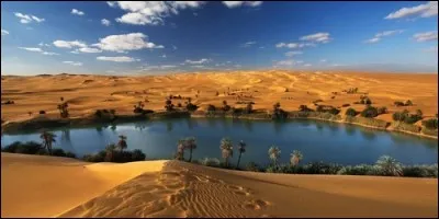 Comment appelle-t-on les zones fertiles du désert ?
