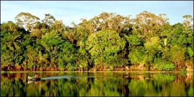 Où trouve-t-on la plus grande forêt du Monde ?