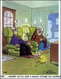 Qu'est ce qu'un vieux de la vieille ?