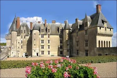 Quel est ce chteau ?