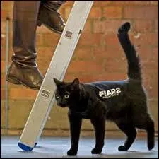 Que signifie 'toucher du bois' ?