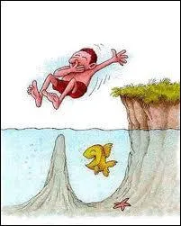 Que font vos projets quand ils chouent ?