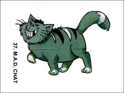 Comment s'appelle ce minou dent ?