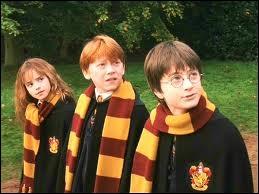 Comment s'appellent les deux meilleurs amis d'Hermione ?