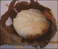 Quel est ce fromage de chvre pli dans des feuilles de chataignier ?