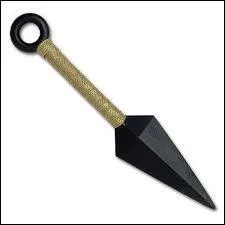 Quelle est cette arme ?