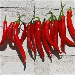 Quel piment est originaire d'Espagne ?