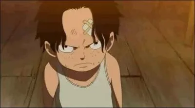 Quel est le nom de l'animal qu'Ace a tu quand Luffy arrivait chez Dadan ? ?