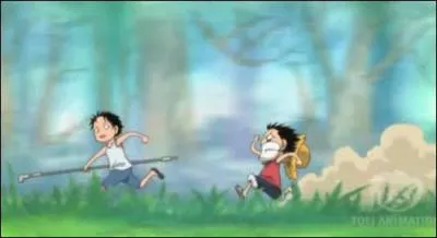 Pourquoi Luffy veut-il tant poursuivre Ace ?