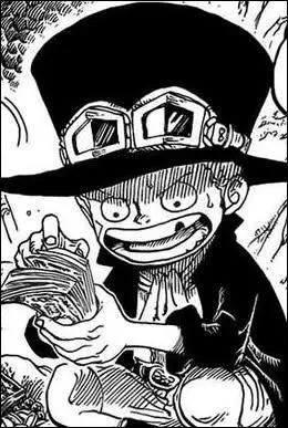 Quel est le nom du second frre de Luffy ?