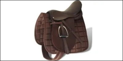 Comment s'appelle le siège que l'on pose sur le dos d'un cheval pour le monter ?