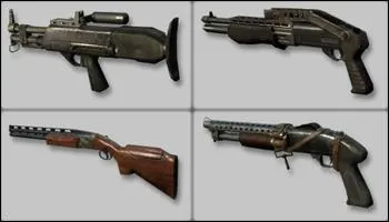 Quel fusil  pompe peut tre utilis en Akimbo ?