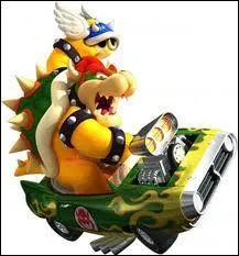 Je suis un dragon et l'ennemi de Mario, je suis donc...