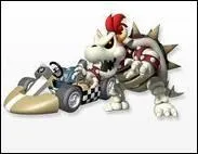 Je suis Bowser sans chair ni peau, je suis donc...