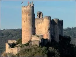 A quel siècle remonte la construction des premiers châteaux forts ?
