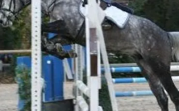 Quiz Galop 1