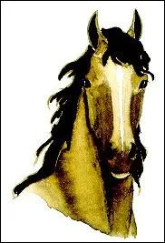 Un cheval qui a les oreilles en avant et l'encolure soutenue est :