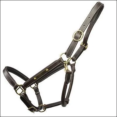 Citez les parties du licol de haut en bas :