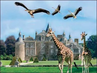 Dans quelle ville se trouve le zoo de la Bourbansais ? (Bretagne)