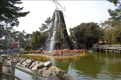 Dans quelle ville se trouve le zoo de la Palmyre ?