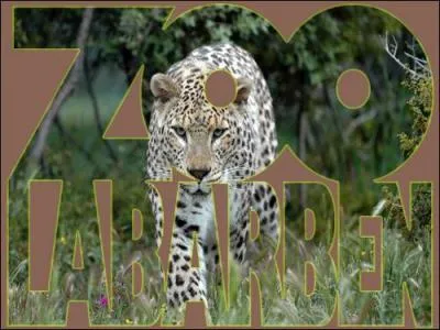 Dans quelle ville se trouve le Zoo de la Barben ?