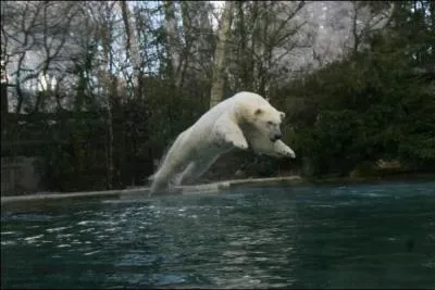 Dans quelle ville se trouve le zoo de la Flche ?
