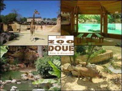 Dans quelle ville se trouve le zoo de Dou-la-Fontaine ?