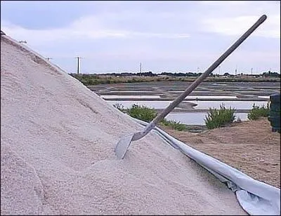 Combien de tonnes de sel et de fleur de sel sont produites sur les salines de l'le ?