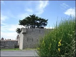 A quelle invasion l'le n'a-t-elle pu rsister en 1674 ?