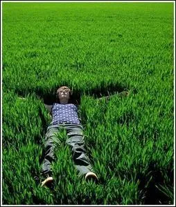 Quelle est la couleur de 'L'herbe', dans le titre d'un roman de Boris Vian de 1950 ?