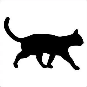 Qu'est-ce qui diffrencie les races de chats ?