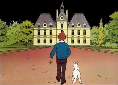 C'est le chteau du capitaine :