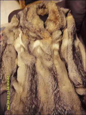 Le commerce de fourrure a tu des millions de renards. Combien de renards roux faut-il chasser pour un seul manteau de fourrure ?