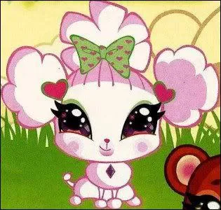 Comment s'appelle l'animal de Stella ?