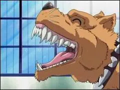 Comment s'appelle le chien de Hiruma ?