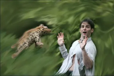 La hyne est-elle mangeuse d'hommes ?