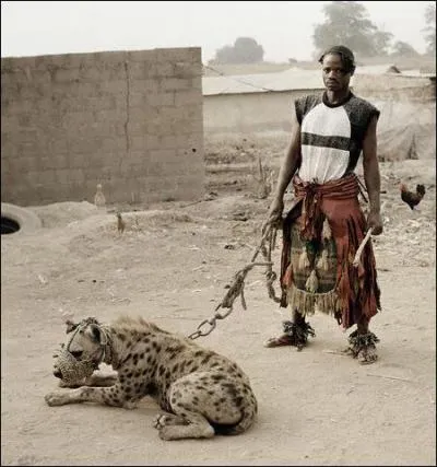 Quels guerriers capturent des hynes pour affirmer leur statut social ?