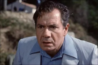 Quel est le nom de ce Michel clbre ?