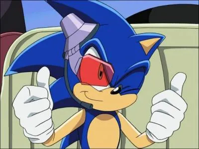 Quel est ce dessin anim ?