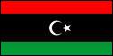Par qui sont représentés les insurgés libyens ?