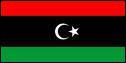 Par qui sont représentés les insurgés libyens ?