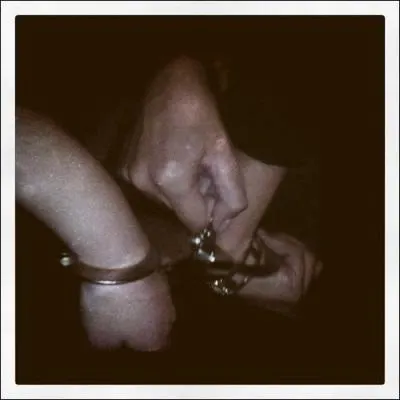 Quand doit entrer en vigueur la rforme de la garde  vue, adopte le 12 avril par l'Assemble nationale ?