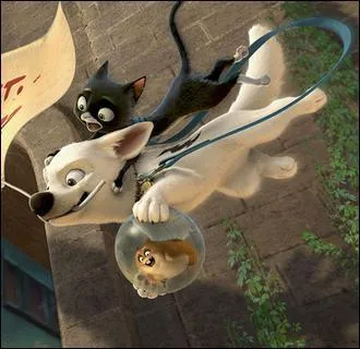 Quel est ce Walt Disney , Dream Works ou Pixar ?