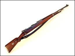 Quelle est cette arme allemande ?