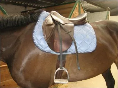 Nommer cette selle (1 rponse)