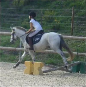 Au galop 2 , je doit tre capable... (plusieurs rponses)