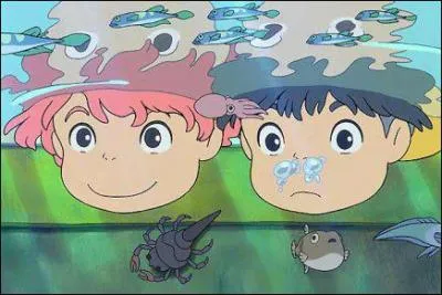 Quel est ce Hayao Miyazaki ?