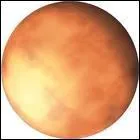 Quelle est la plante la plus loigne du soleil ?